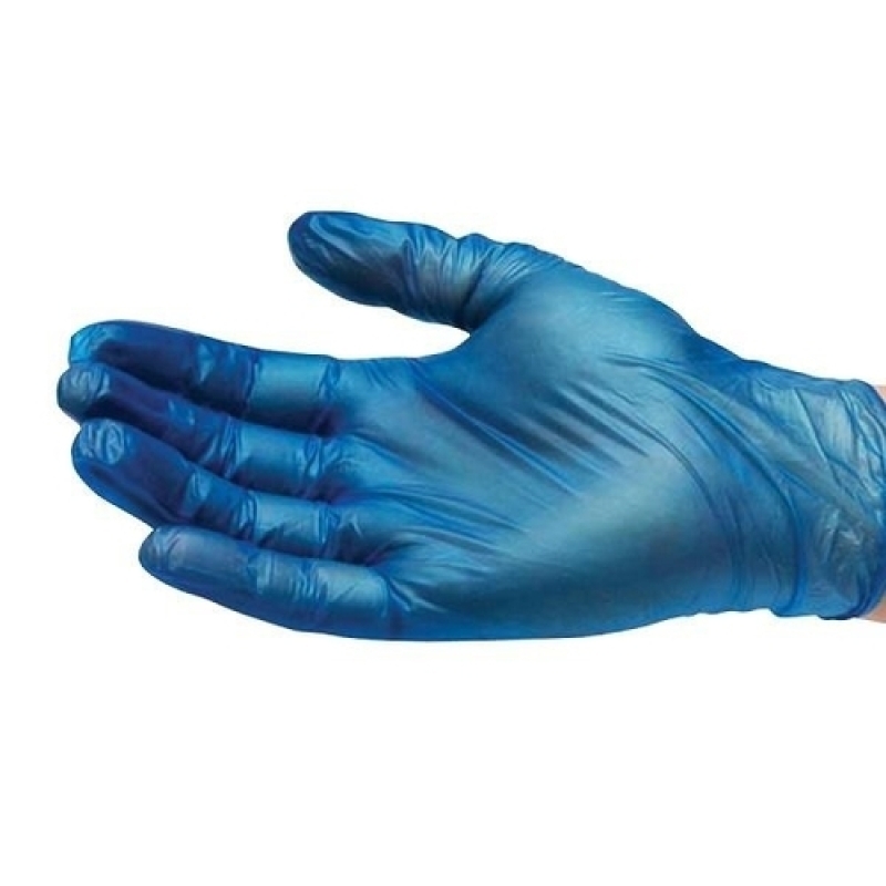 Blue Large Vinyl Non-Powdered Gloves 