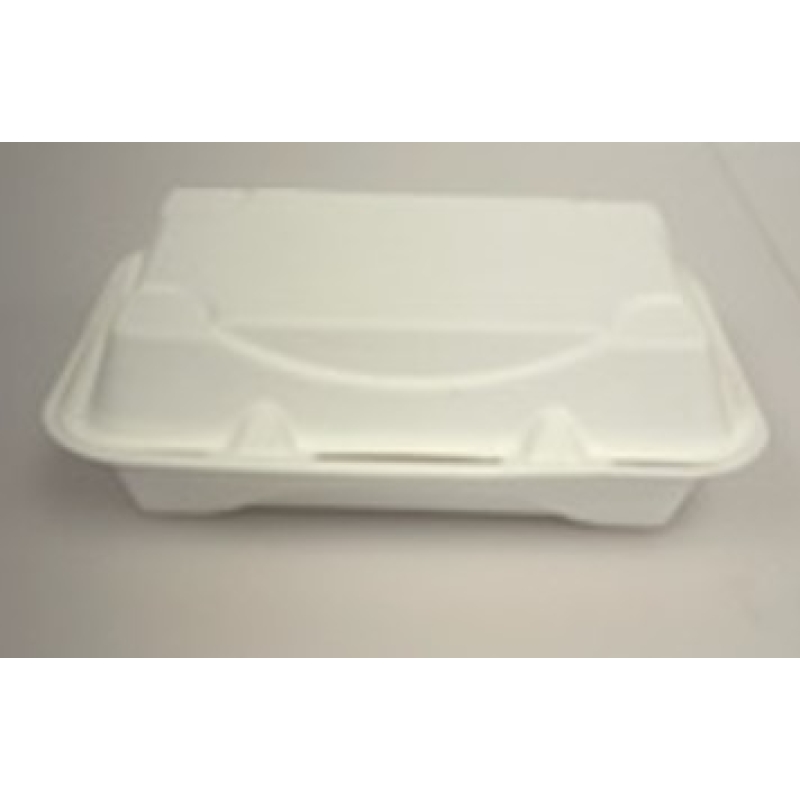 Eco Flat Top Sugarcane Clams Snack Pack 9" x 6"