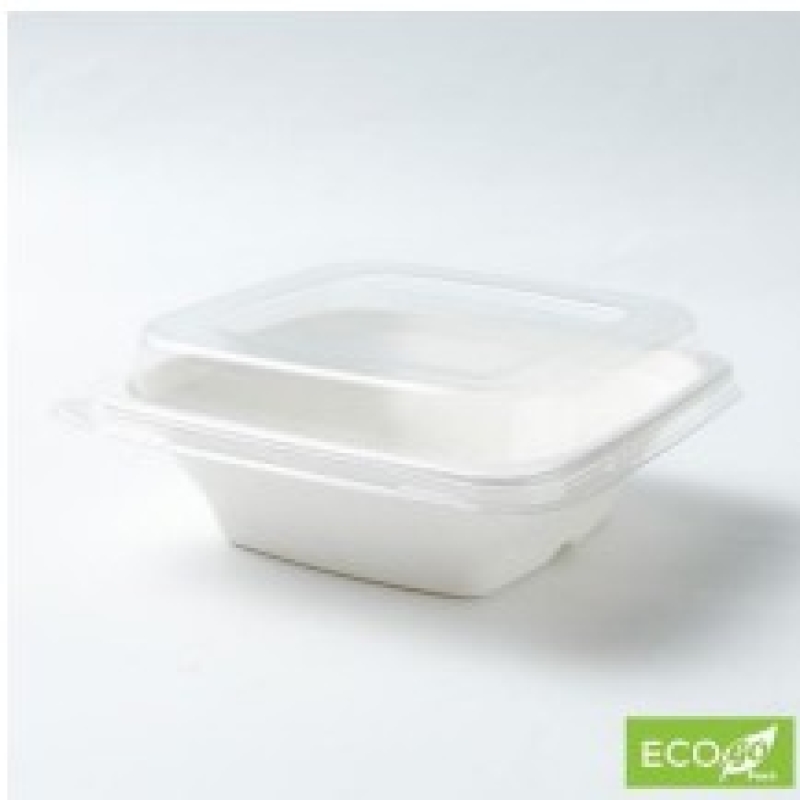 Eco Sugarcane Square Containers 280ml