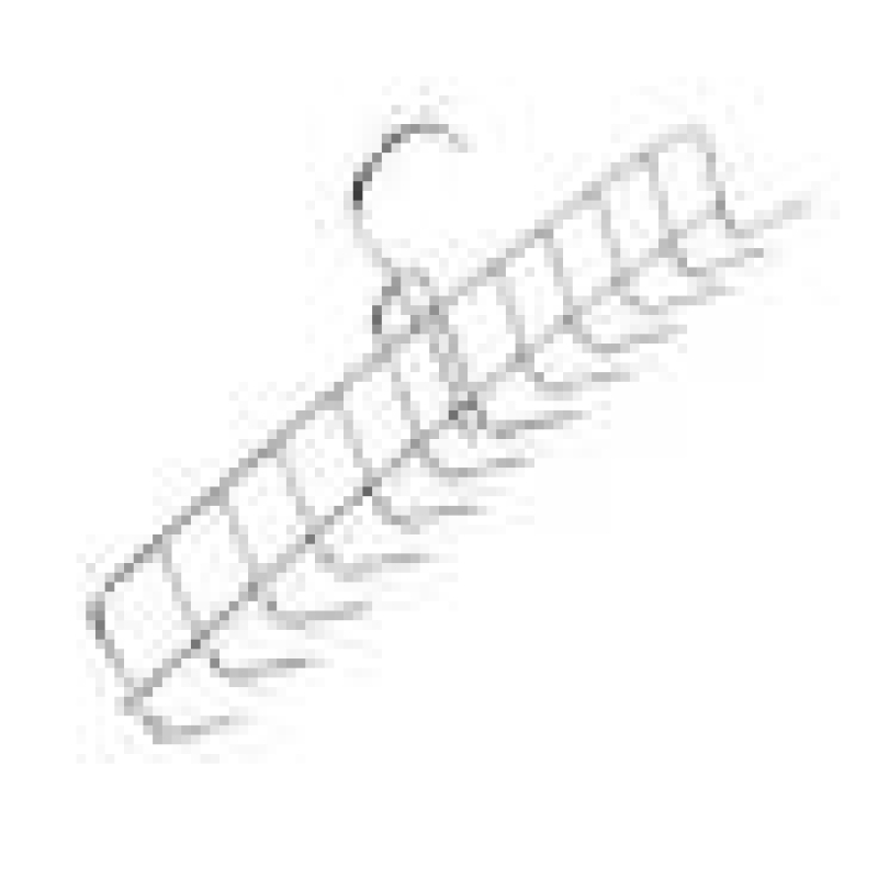 Bacon Stainless Steel Hook 12" Prong