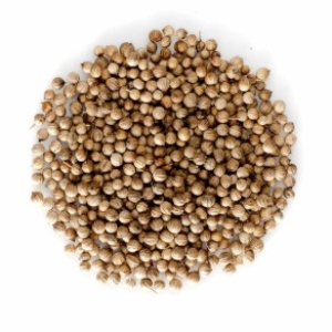 Coriander Whole Seeds
