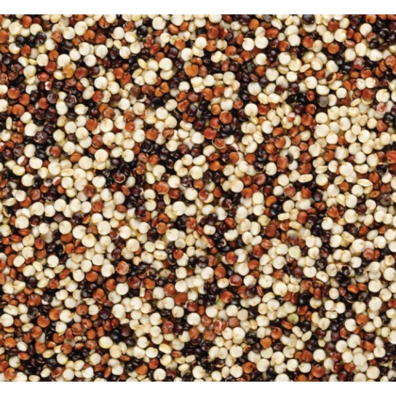 Tri-Colour Quinoa
