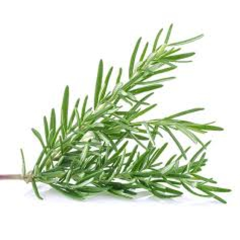 Rosemary Rub