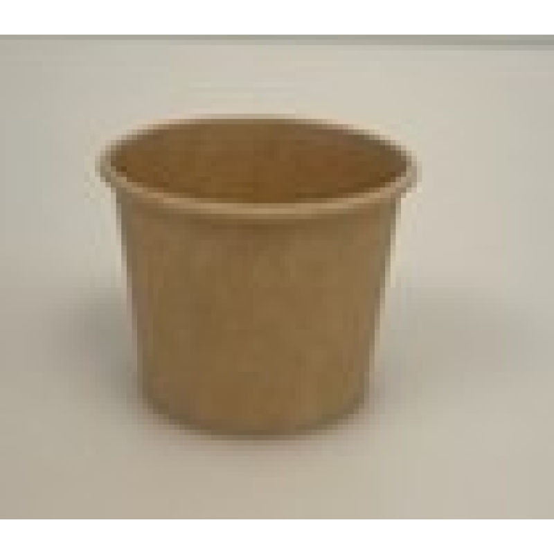 Eco Sugar Cane 2oz Sauce Cups