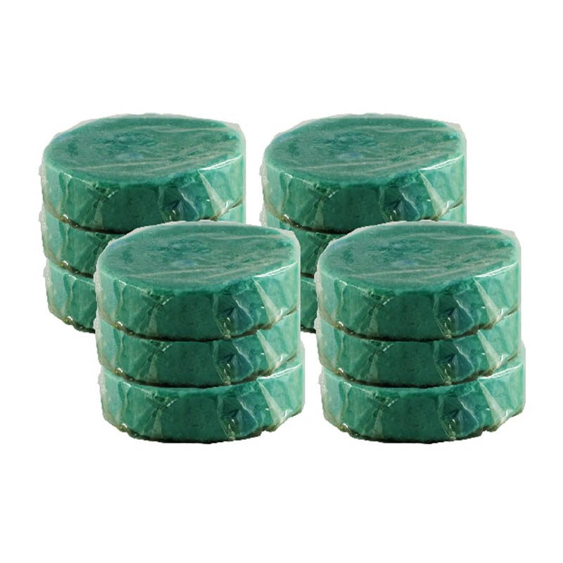 Citrus Urinal Block & Cage