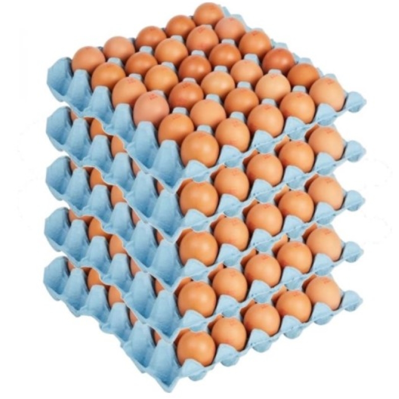 Eggs 600G
