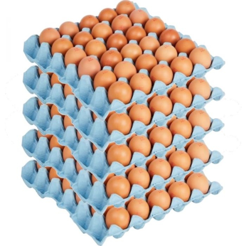 Eggs 700G