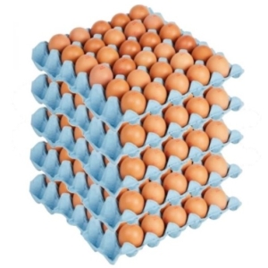 Eggs 600g