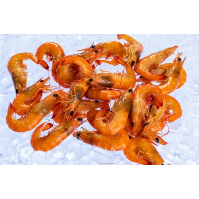 Exmouth Whole Cooked Prawns 10/20