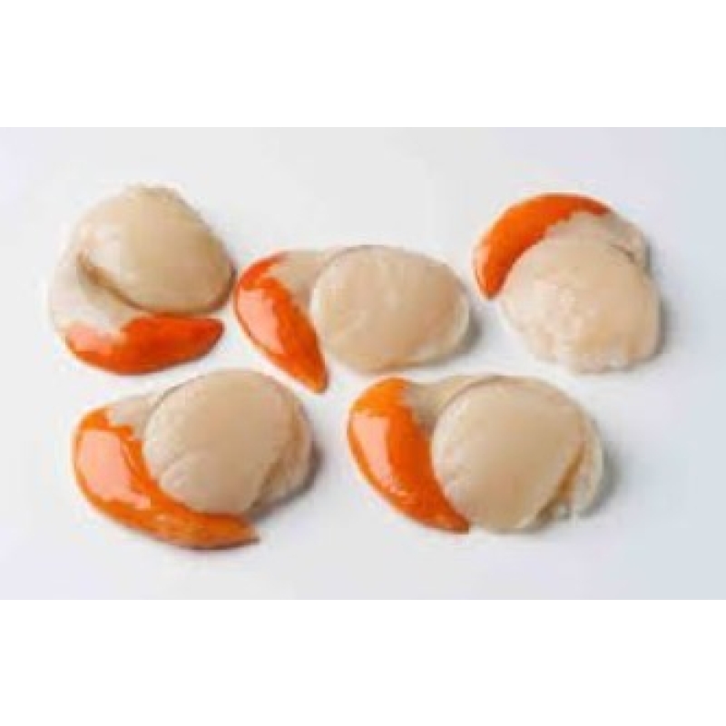 Scallops 20/30 Roe On
