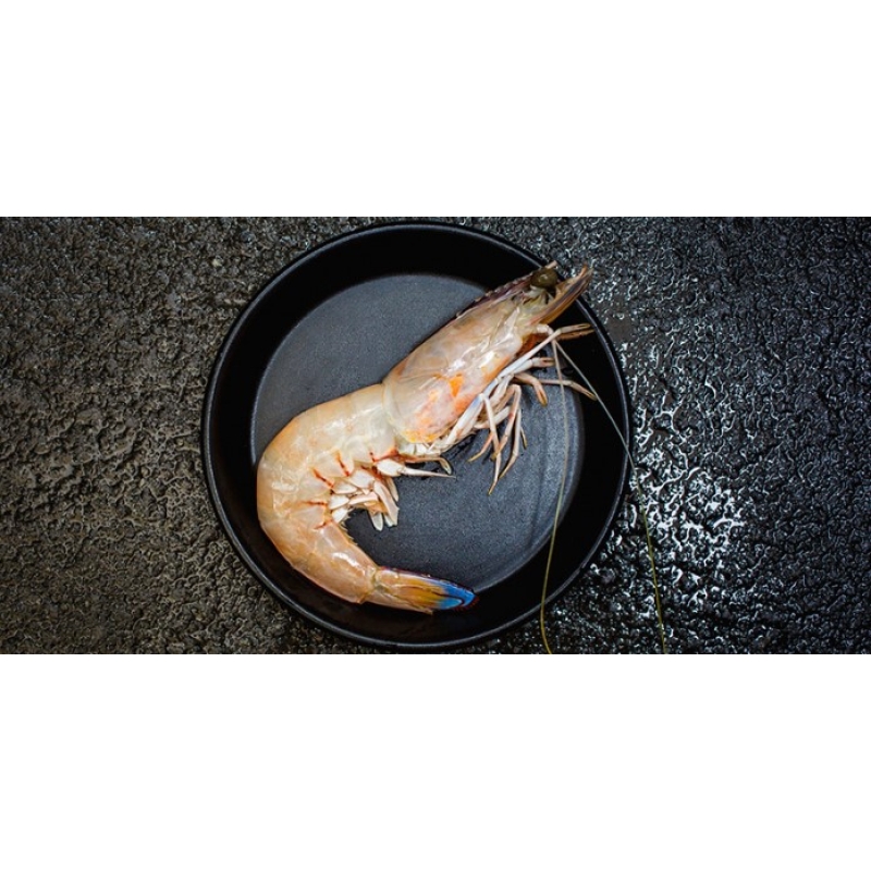 Shark Bary Raw King Prawns 9/12