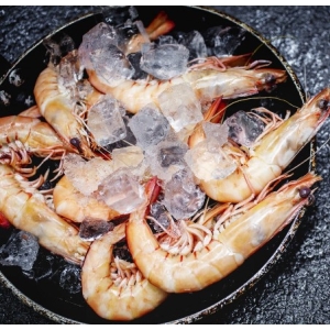 Exmouth Raw Tiger Prawns 15/25