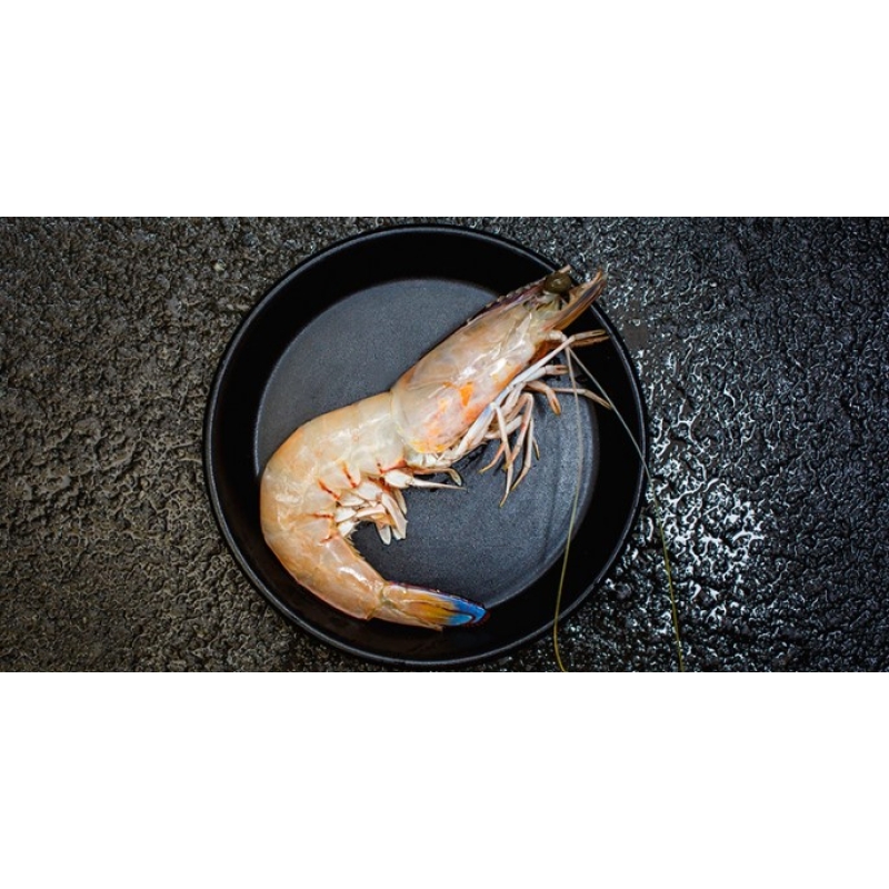 Shark Bay Raw King Prawns 9/12 