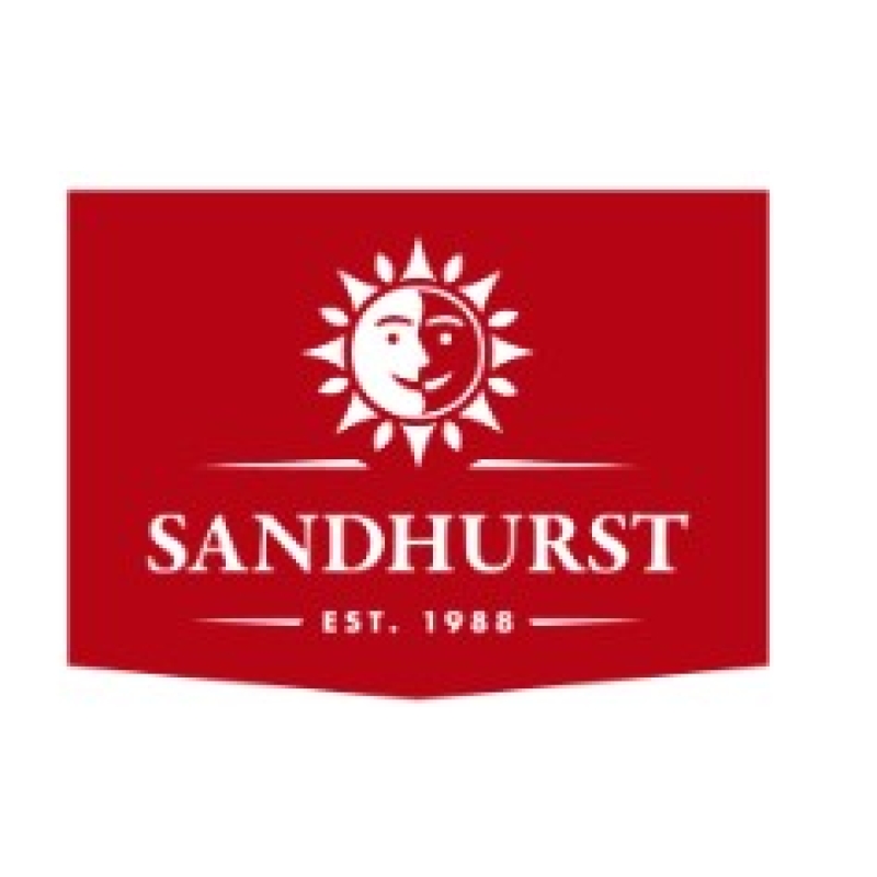 Superior Pitted Olives 