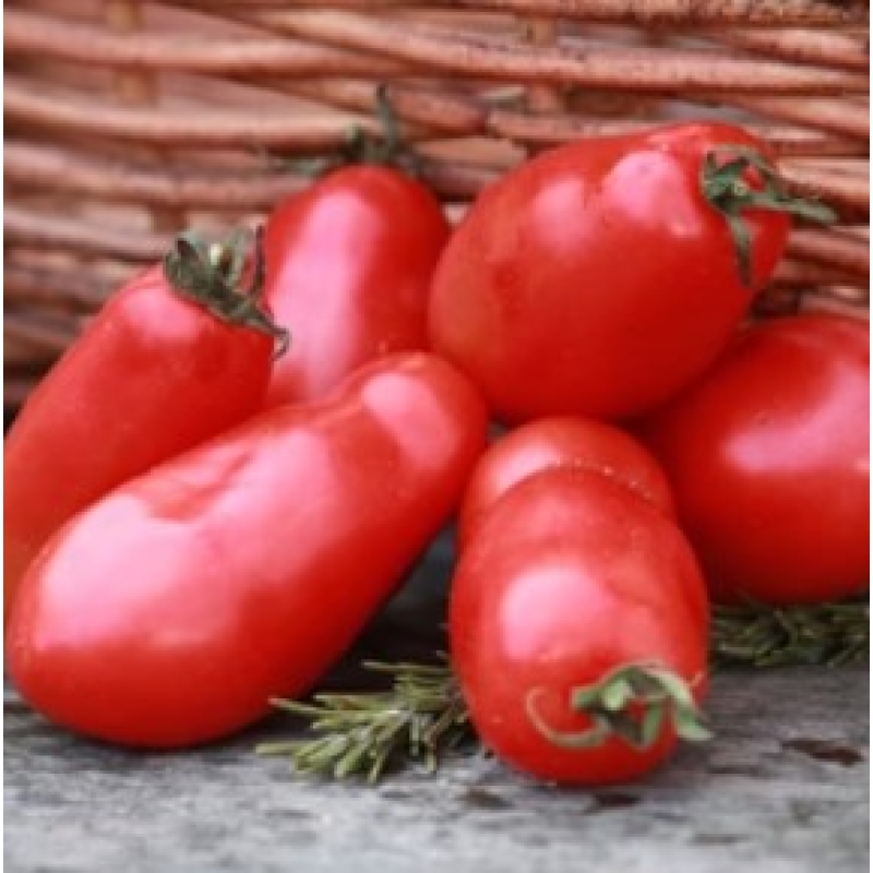 San Marzano Tomatoes 
